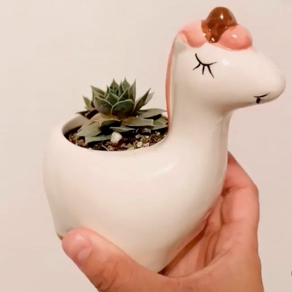 🦄Unicorn Succulent Plant Pot 🍃 - Picture 2 of 3